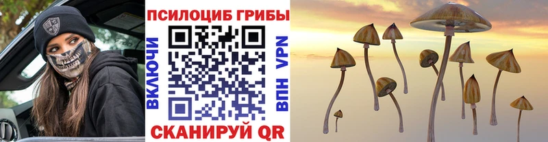 Псилоцибиновые грибы Cubensis  Ершов 